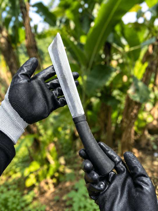 Pisau Sadap 18 CM